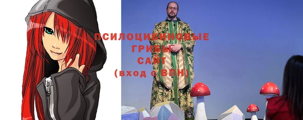 гидра Вязники